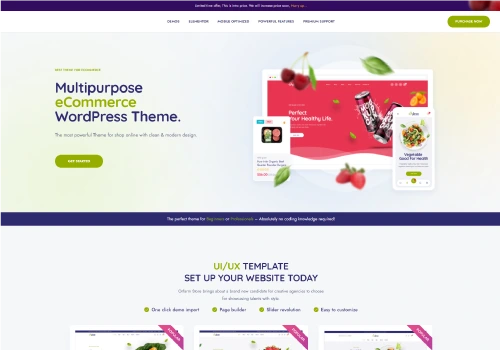 ecommerce web design agency