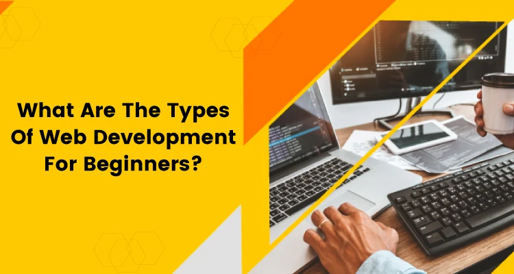 Types Of Web Development For Beginners